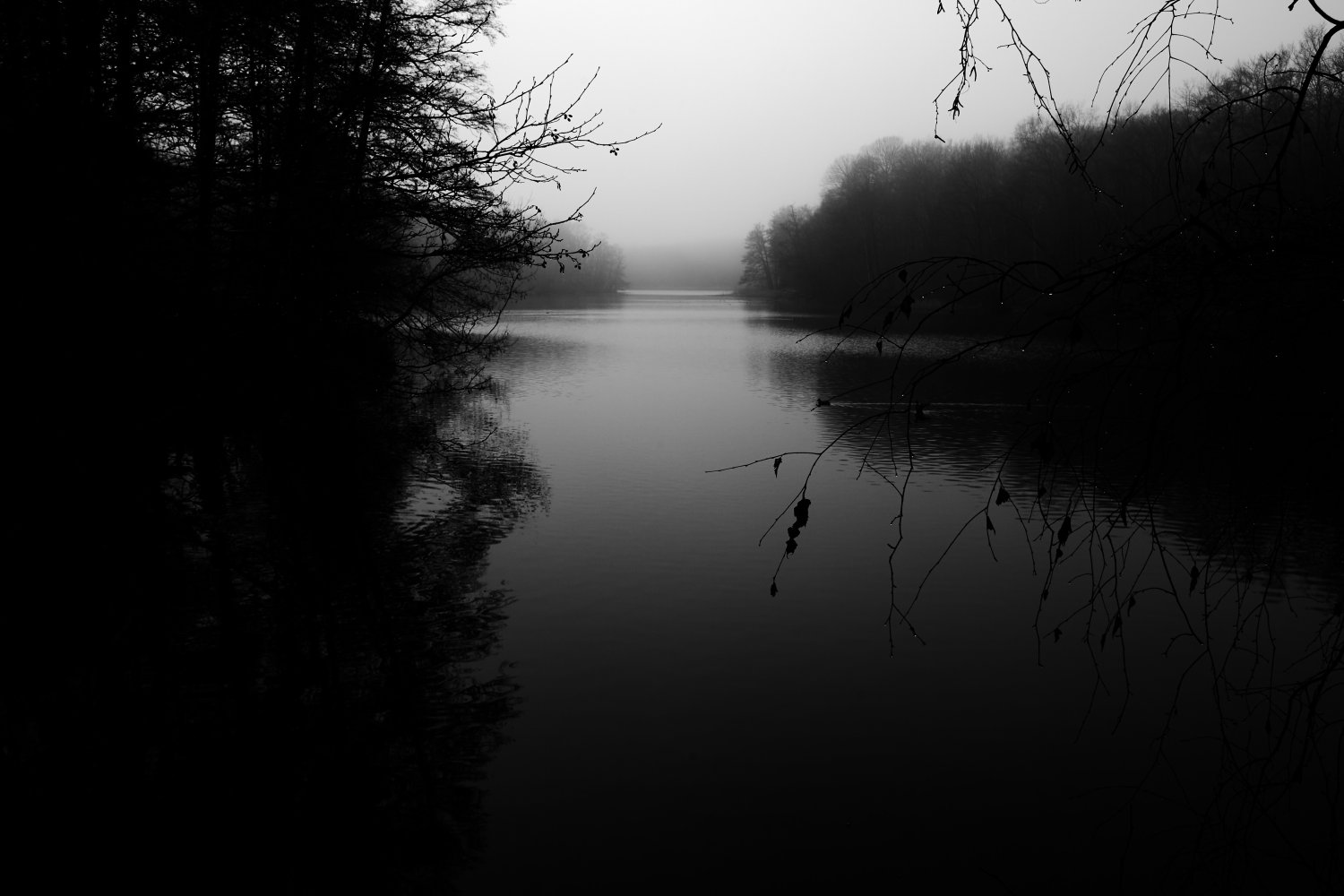 Nikolassee II