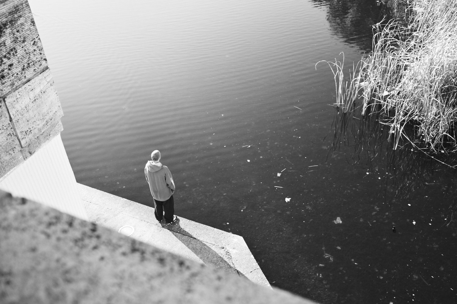 Person standing on concrete bank at Rudolph-Wilde-Park overlooking calm water with reeds
