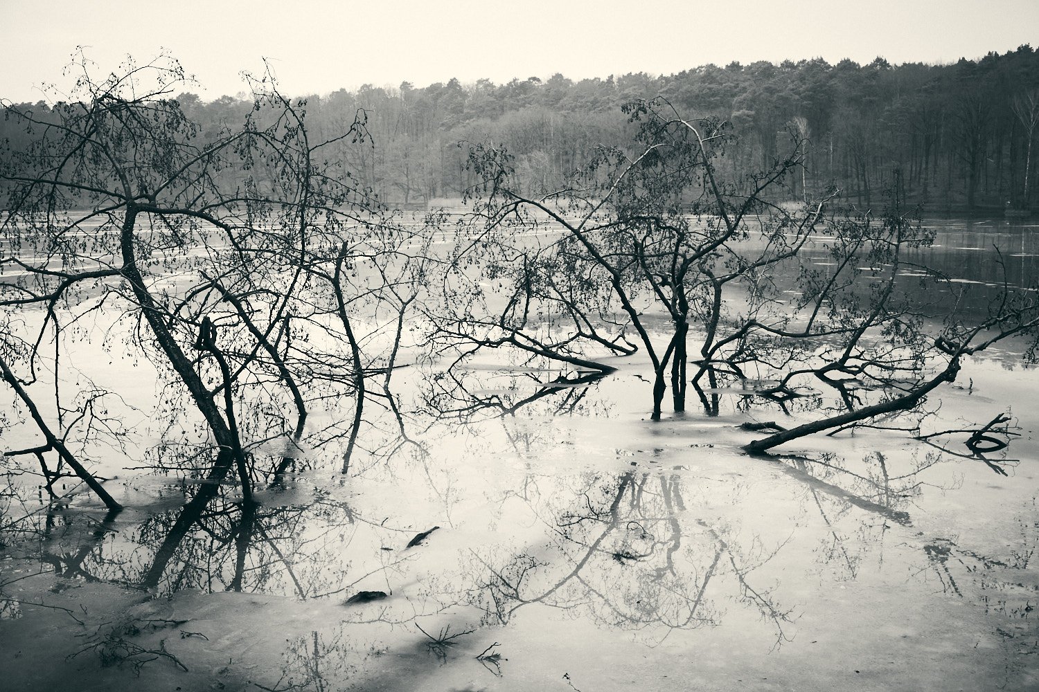 Winterliche Stille am Schlachtensee
