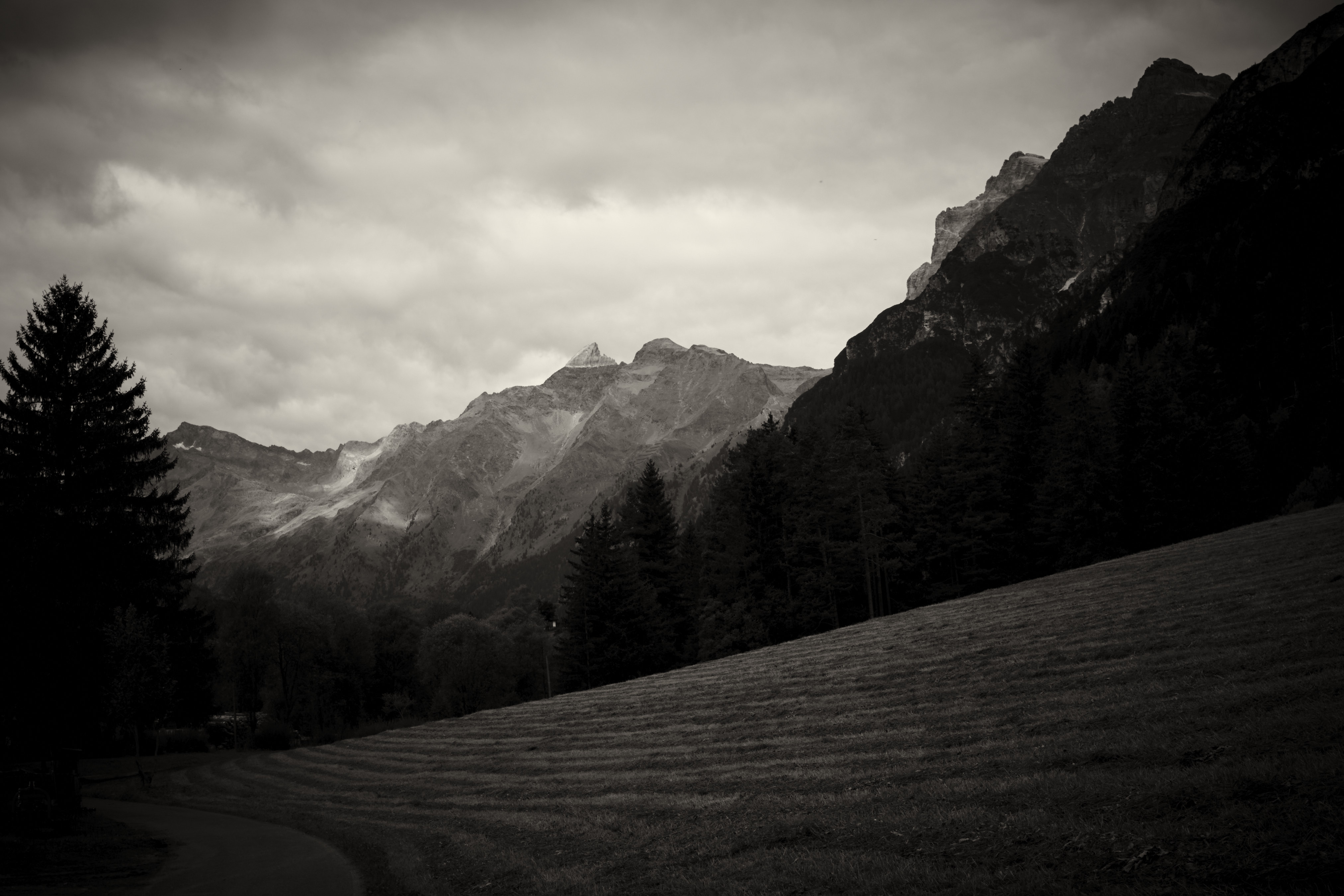 Alpine Valley II